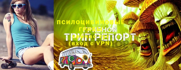 прущие грибы Армянск