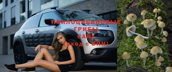 бутират Алексеевка