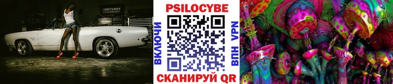 ОМГ ОМГ ТОР  Казань  Галлюциногенные грибы GOLDEN TEACHER 