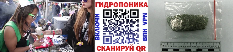 Шишки марихуана Bruce Banner  Казань 